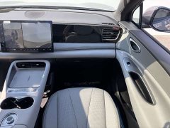 BYD Haima Sealion 06 DM-i 205 Pilot Plus - ფოტო 14