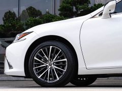 Lexus ES 300h Premium Edition - ფოტო 8