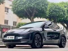 Tesla Model Y Rear-Wheel Drive - ფოტო 1