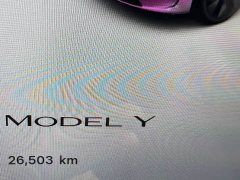 Tesla Model Y Rear-Wheel Drive - ფოტო 13