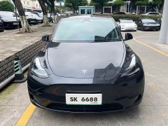 Tesla Model Y Rear-Wheel Drive - ფოტო 2