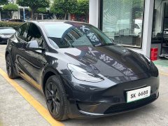 Tesla Model Y Rear-Wheel Drive - ფოტო 3