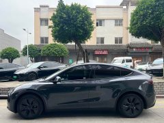 Tesla Model Y Rear-Wheel Drive - ფოტო 4