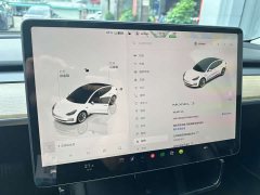 Tesla Model 3 Rear-Wheel Drive - ფოტო 11