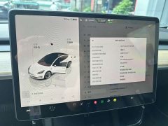 Tesla Model 3 Rear-Wheel Drive - ფოტო 12