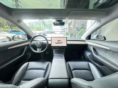 Tesla Model 3 Rear-Wheel Drive - ფოტო 6