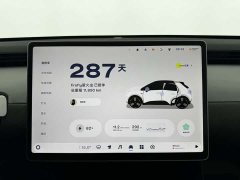 Nio Firefly Luminous Edition - ფოტო 15