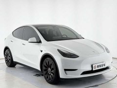 Tesla Model Y Rear-Wheel Drive - ფოტო 11