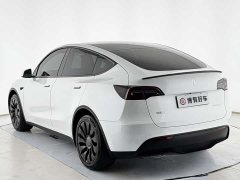Tesla Model Y Rear-Wheel Drive - ფოტო 14