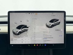 Tesla Model Y Rear-Wheel Drive - ფოტო 3