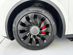Tesla Model Y Rear-Wheel Drive - ფოტო 4