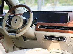 ORA Good Cat 401km Standard Range Comfort Edition LFP Battery - ფოტო 6