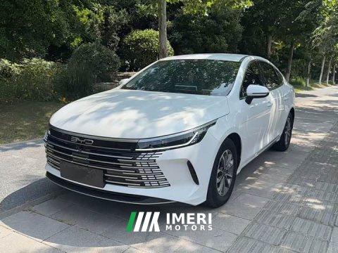 2023 BYD Destroyer 05 Champion Edition DM-i 55KM Luxury - ავტომობილი ჩინეთიდან