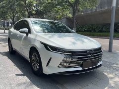BYD Destroyer 05 Champion Edition DM-i 55KM Luxury - ფოტო 3