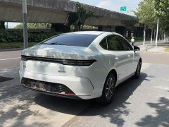 BYD Destroyer 05 Champion Edition DM-i 55KM Luxury - ფოტო 4
