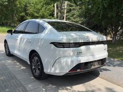 BYD Destroyer 05 Champion Edition DM-i 55KM Luxury - ფოტო 6