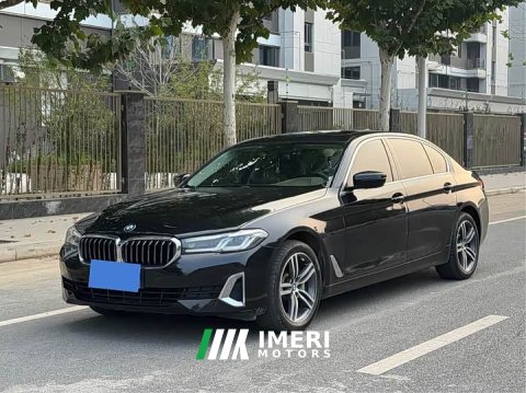 2021 BMW 5 Series 530Li Premier Luxury Package - ავტომობილი ჩინეთიდან
