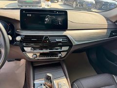 BMW 5 Series 530Li Premier Luxury Package - ფოტო 12