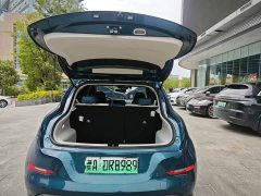 ORA Good Cat 401km Luxury - ფოტო 2