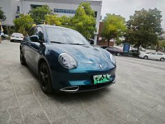 ORA Good Cat 401km Luxury - ფოტო 4