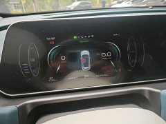 ORA Good Cat 401km Luxury - ფოტო 6