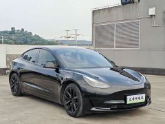 Tesla Model 3 Standard Range RWD Upgrade - ფოტო 2