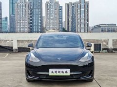Tesla Model 3 Standard Range RWD Upgrade - ფოტო 3