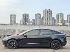 Tesla Model 3 Standard Range RWD Upgrade - ფოტო 6