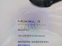 Tesla Model 3 Standard Range RWD Upgrade - ფოტო 8