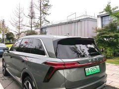 Great Wall WEY Blue Mountain 2025 Four-Wheel Drive Ultra - ფოტო 8