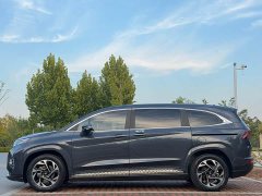 Hyundai Cosworth 270TGDi Luxury Edition LUX - ფოტო 3