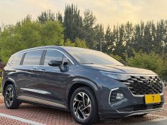 Hyundai Cosworth 270TGDi Luxury Edition LUX - ფოტო 8