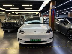 Tesla Model Y Rear-Wheel Drive - ფოტო 2
