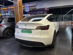 Tesla Model Y Rear-Wheel Drive - ფოტო 5