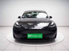 Tesla Model Y Long Range All-Wheel Drive 3D7 - ფოტო 2