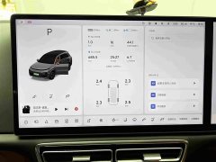 Li Auto L8 Pro - ფოტო 9