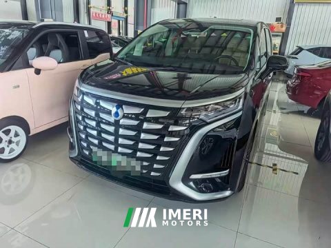 2024 Denza BYD Denza D9 DM-i 1050 Premium - ავტომობილი ჩინეთიდან