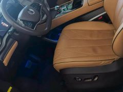 Denza BYD Denza D9 DM-i 1050 Premium - ფოტო 7