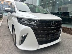 Toyota Alphard Hybrid 2.5L Premium Gold Edition - ფოტო 3