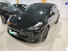 Tesla Model Y Rear-Wheel Drive - ფოტო 1