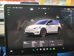 Tesla Model Y Rear-Wheel Drive - ფოტო 6