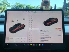 Tesla Model 3 Facelift Standard Range RWD Upgrade 3D1 - ფოტო 9