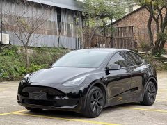 Tesla Model Y Rear-Wheel Drive - ფოტო 1