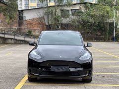 Tesla Model Y Rear-Wheel Drive - ფოტო 2