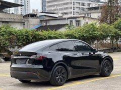 Tesla Model Y Rear-Wheel Drive - ფოტო 5