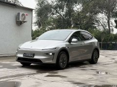 Tesla Model Y L Long Range All-Wheel Drive - ფოტო 1