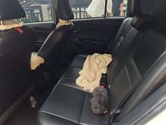 Toyota Yaris L Zhixuan X 1.5L CVT Luxury Plus - ფოტო 18