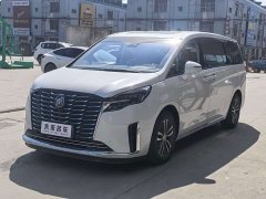 Buick GL8 ES Luxe Enjoyment Edition - ფოტო 1