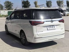 Buick GL8 ES Luxe Enjoyment Edition - ფოტო 10