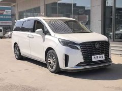 Buick GL8 ES Luxe Enjoyment Edition - ფოტო 3